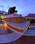 Panoramas